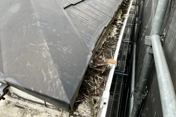 雨樋の詰まり除去