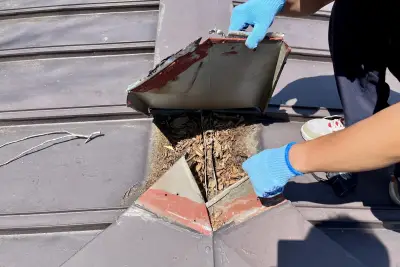 屋根からの雨漏り