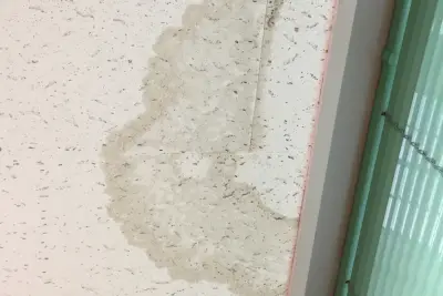 雨漏りによる天井のシミ