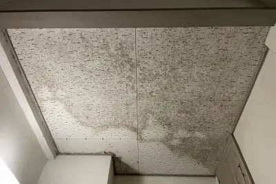 雨漏りによるカビや臭い