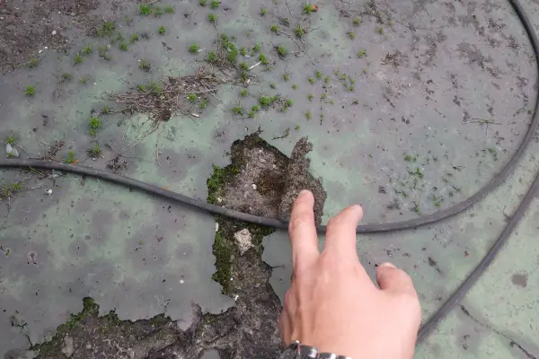 雨漏りの原因特定