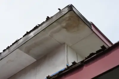 屋根からの雨漏り